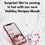 E-book: Holiday Recipes (16 recipes) - Rawnice