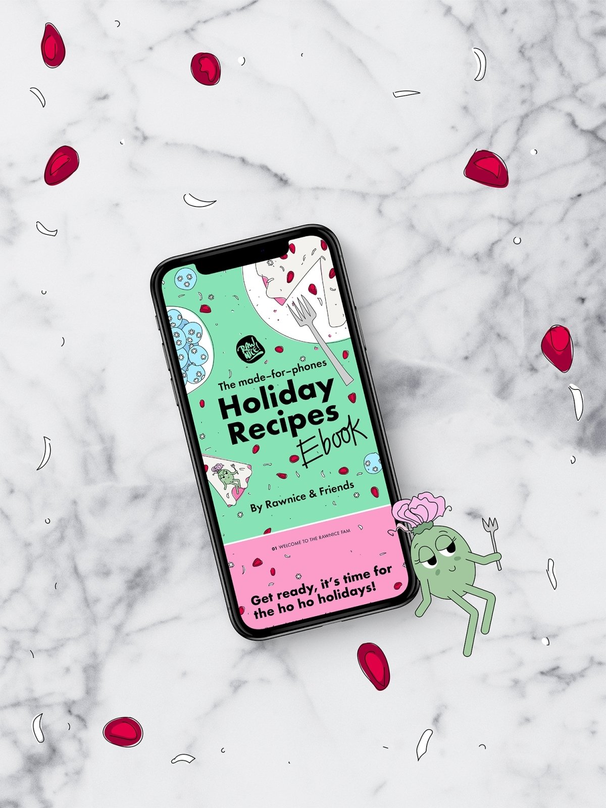 E-book: Holiday Recipes (16 recipes) - Rawnice