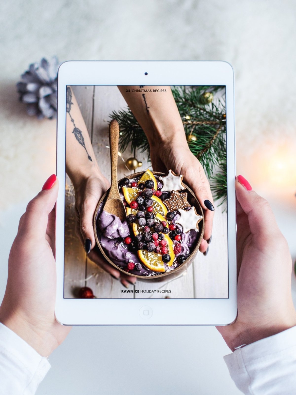 E-book: Holiday Recipes (16 recipes) - Rawnice