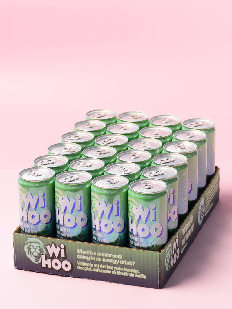 Wihoo Energy Drink - Apple Ocean x 24